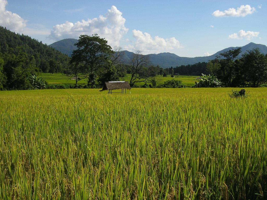 Mai Siam Resort Mae On Bagian luar foto